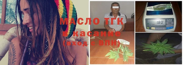 индика Баксан