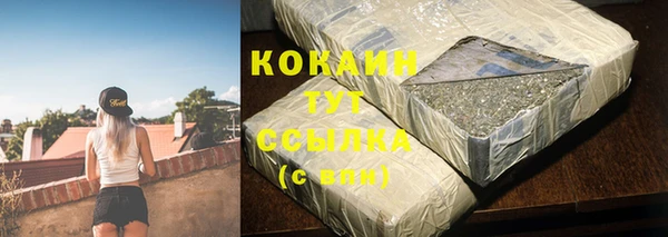 индика Баксан