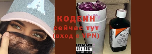 индика Баксан