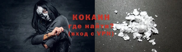 индика Баксан
