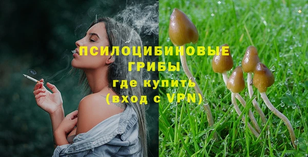 индика Баксан
