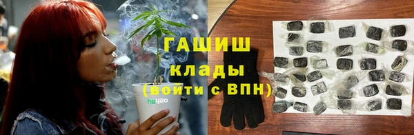 индика Баксан