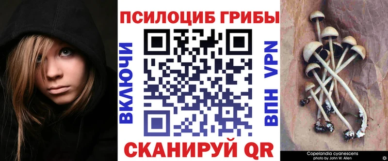 Галлюциногенные грибы мицелий Болотное